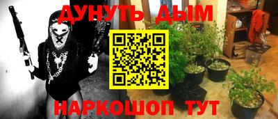 прущие крисы Тара