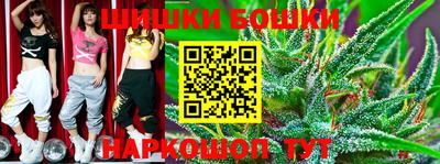 индика Тулун