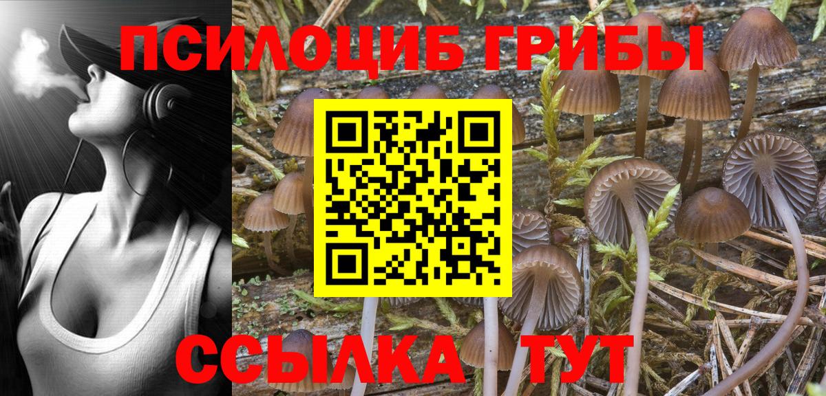 Псилоцибиновые грибы мицелий  цены   Мичуринск  Вход с VPN 